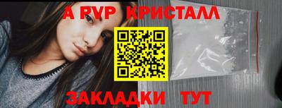 прущие грибы Дубна