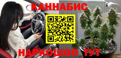 прущие грибы Дубна