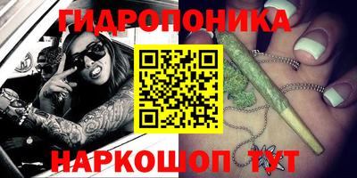 прущие грибы Дубна
