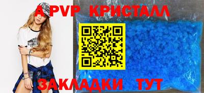 прущие грибы Дубна