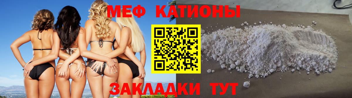 МЕФ  Дубна