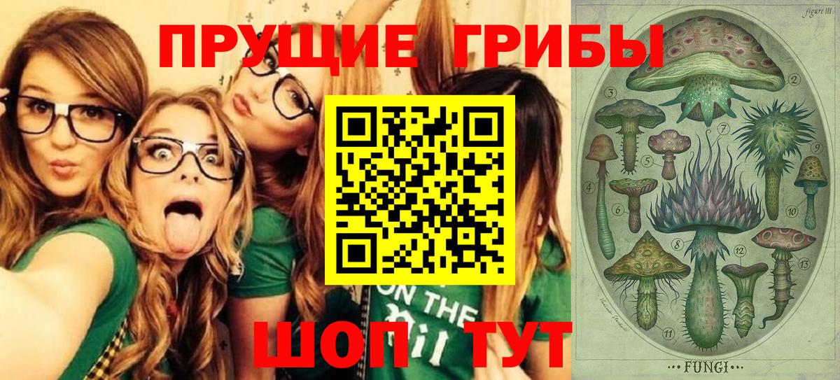 Псилоцибиновые грибы мицелий  Вход с VPN  где продают наркотики  Дубна  Галлюциногенные грибы Psilocybine cubensis 
